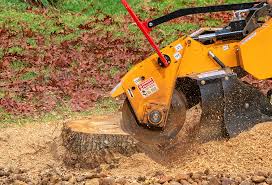 Best Grass Overseeding  in Hamlet, NC